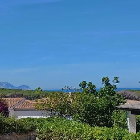 Ilfe House 타나우넬라