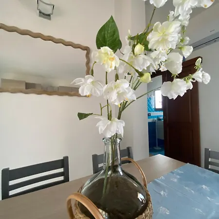 Ilfe House * טנאונלה