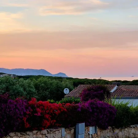 Ilfe House Tanaunella