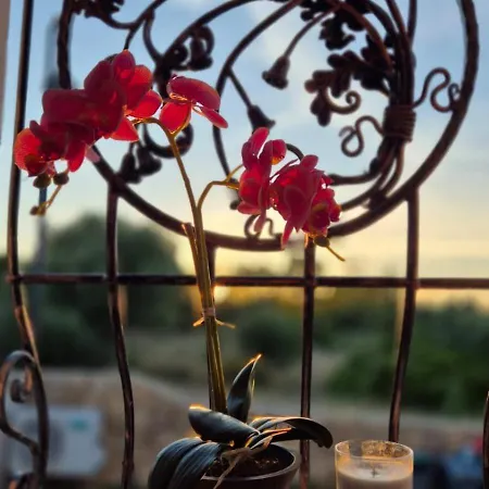 度假居 Ilfe House 塔瑙内拉