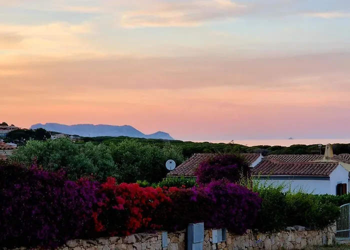 Ilfe House Танаунелла