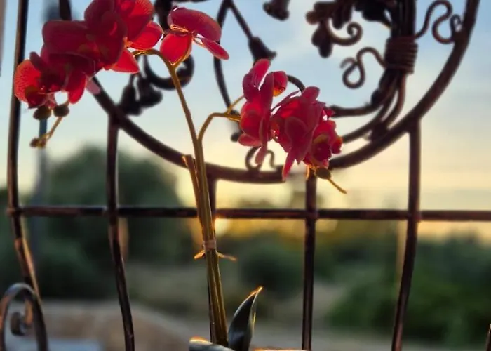 Дом отдыха Ilfe House Танаунелла