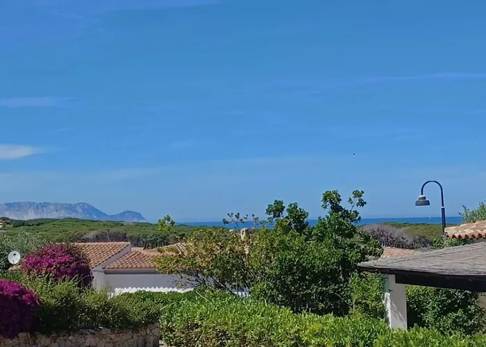 Ilfe House Танаунелла